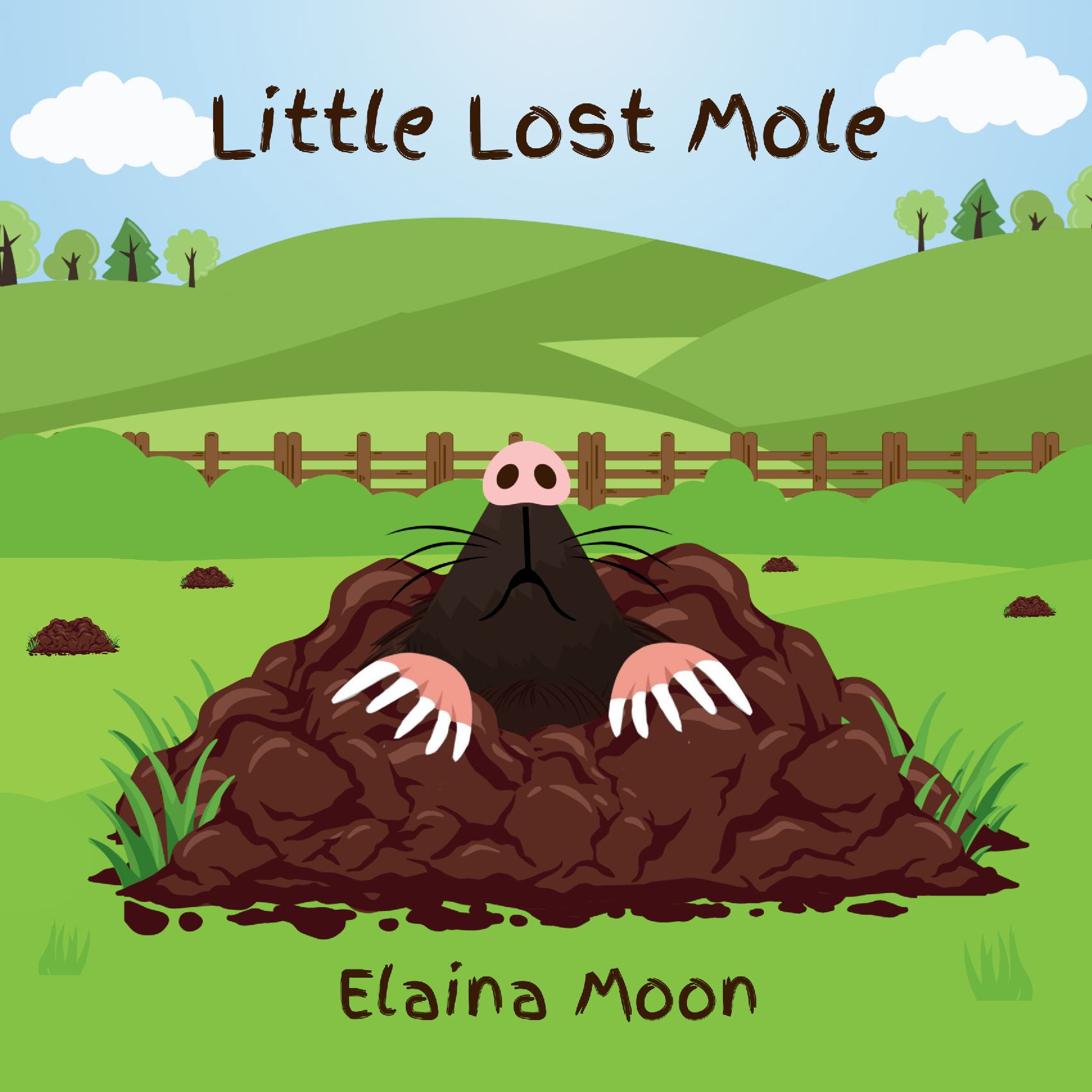 Little Lost Mole
