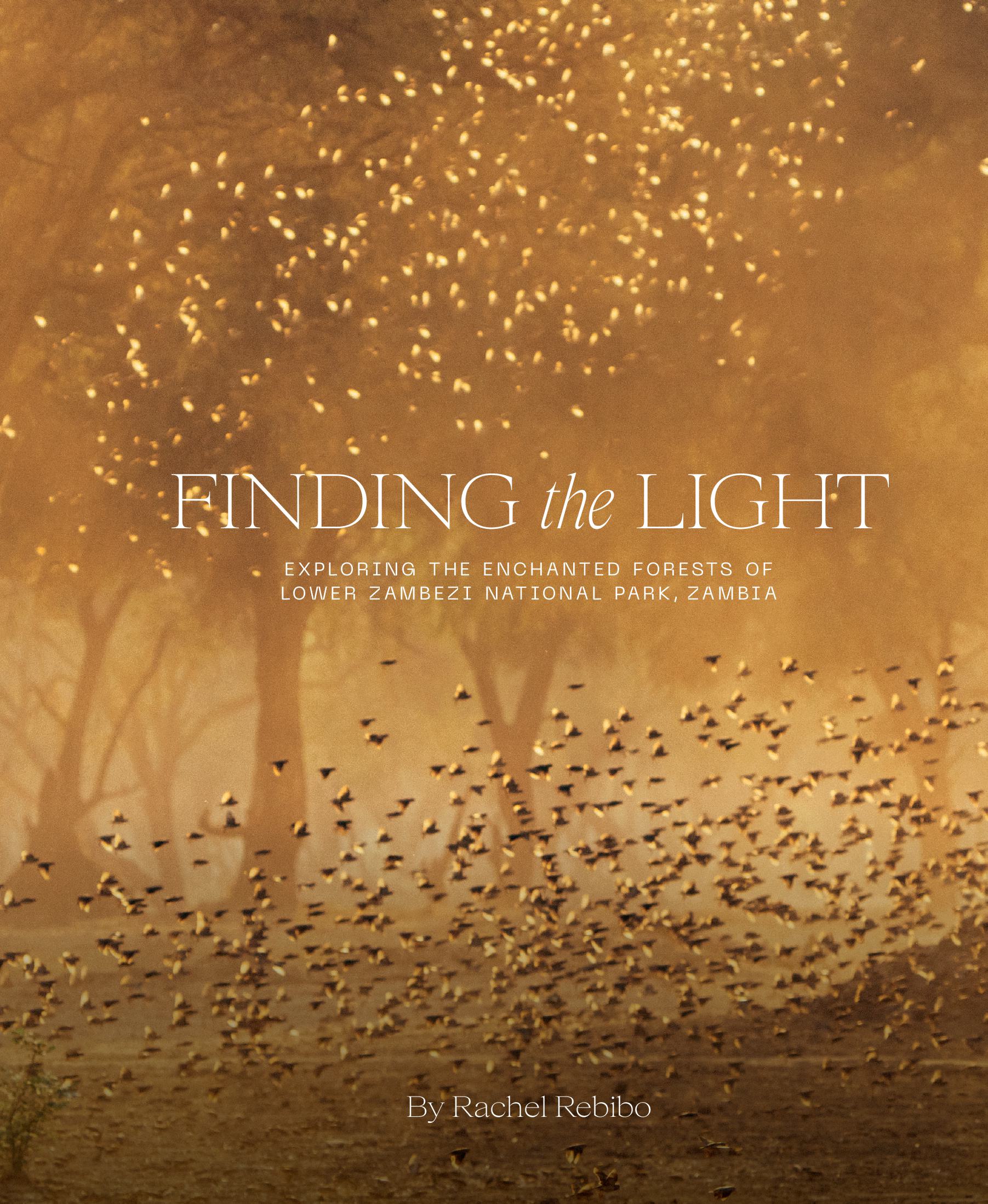 Finding The Light: Exploring The Enchanted Forests of Lower Zambezi National Park, Zambia