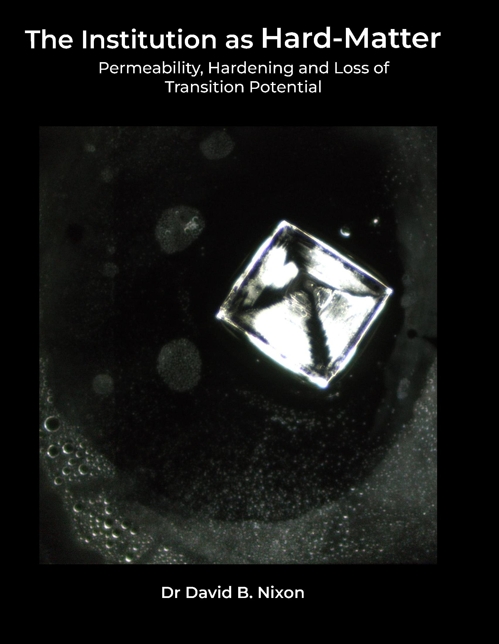 The Institution as Hard-Matter: Permeability, Hardening and Loss of Transition Potential (US Letter Hardcover Edition)