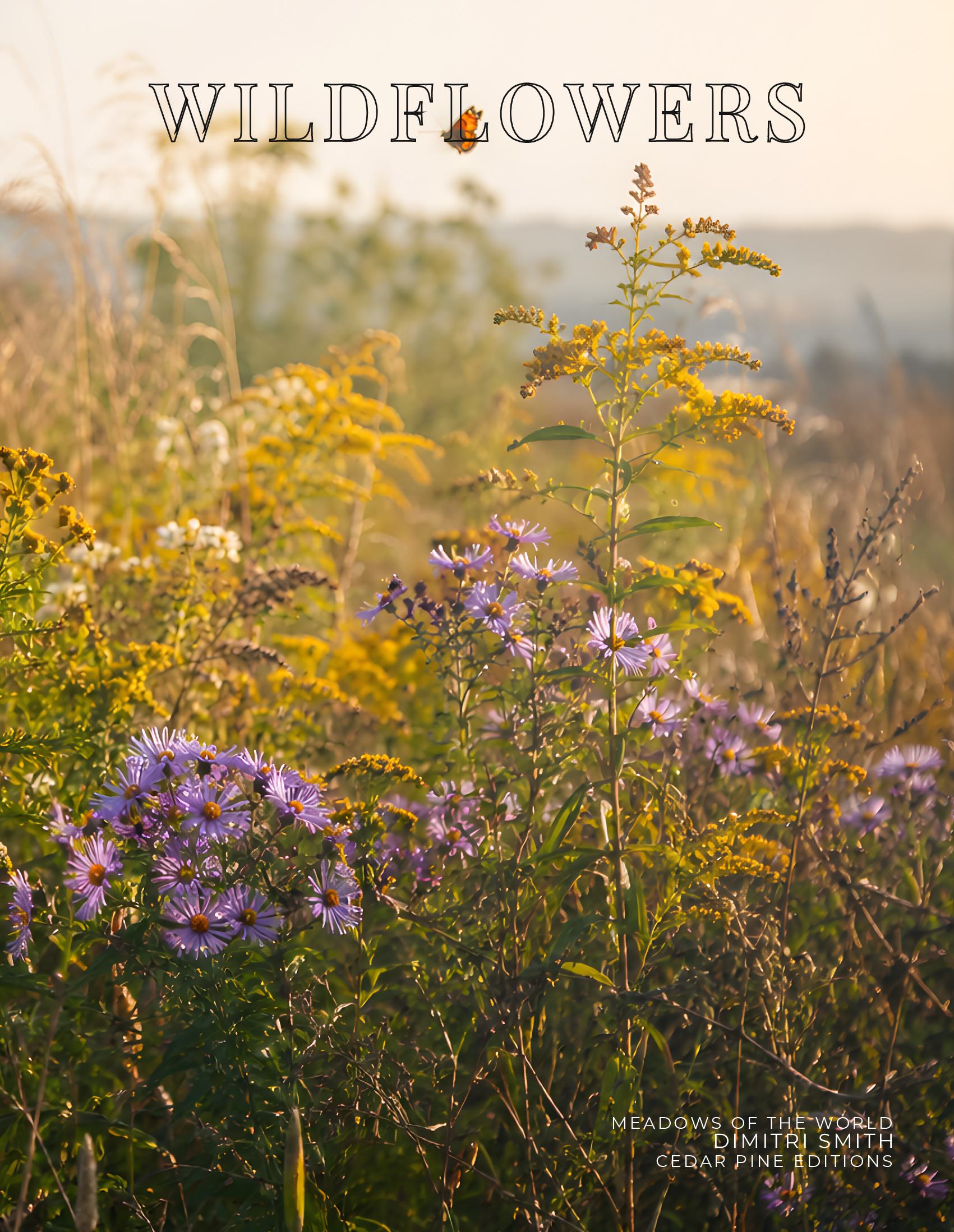 Coffee Table Book of: Wildflowers (Paperback)