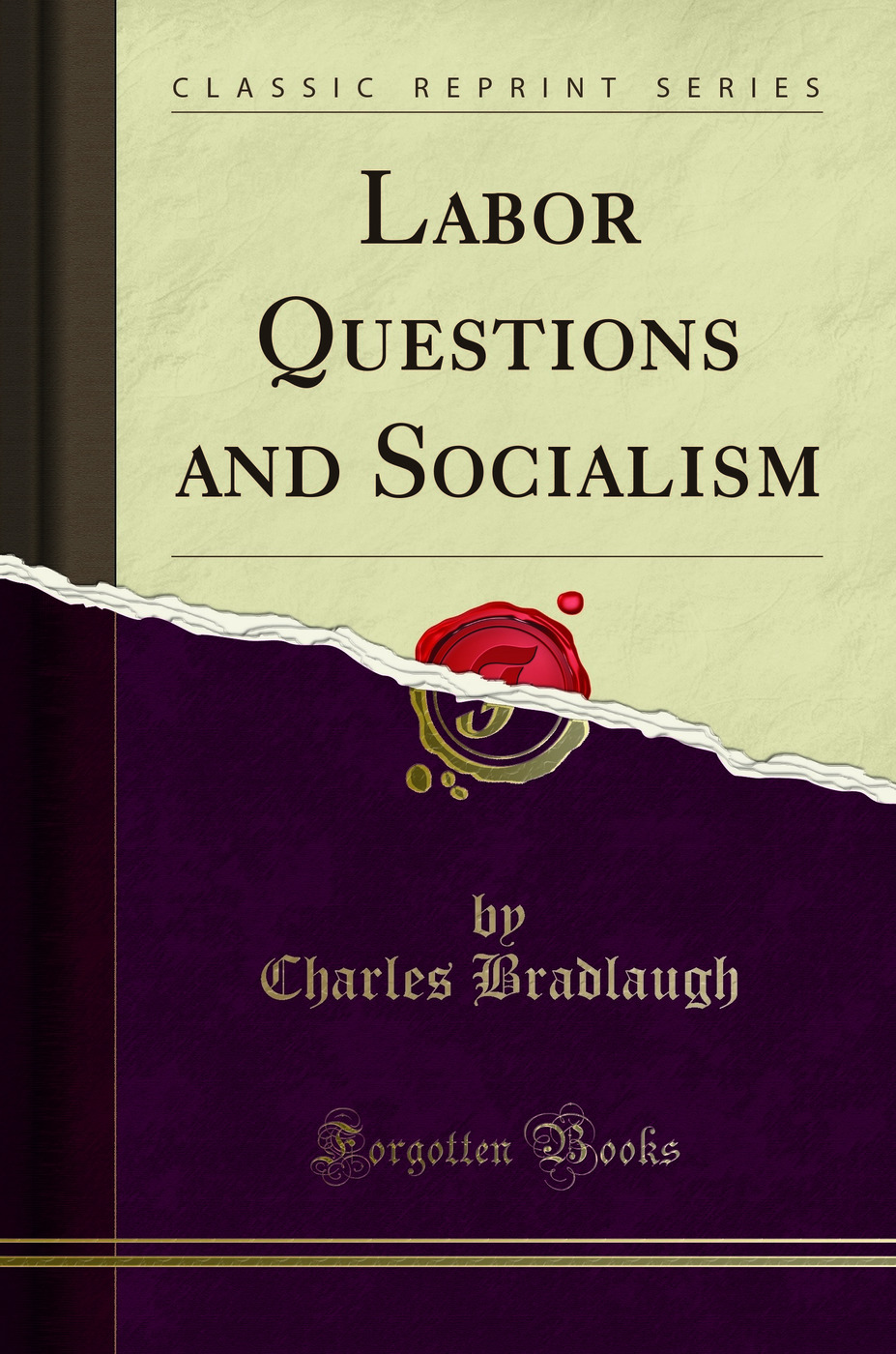 Labor Questions and Socialism (Classic Reprint)