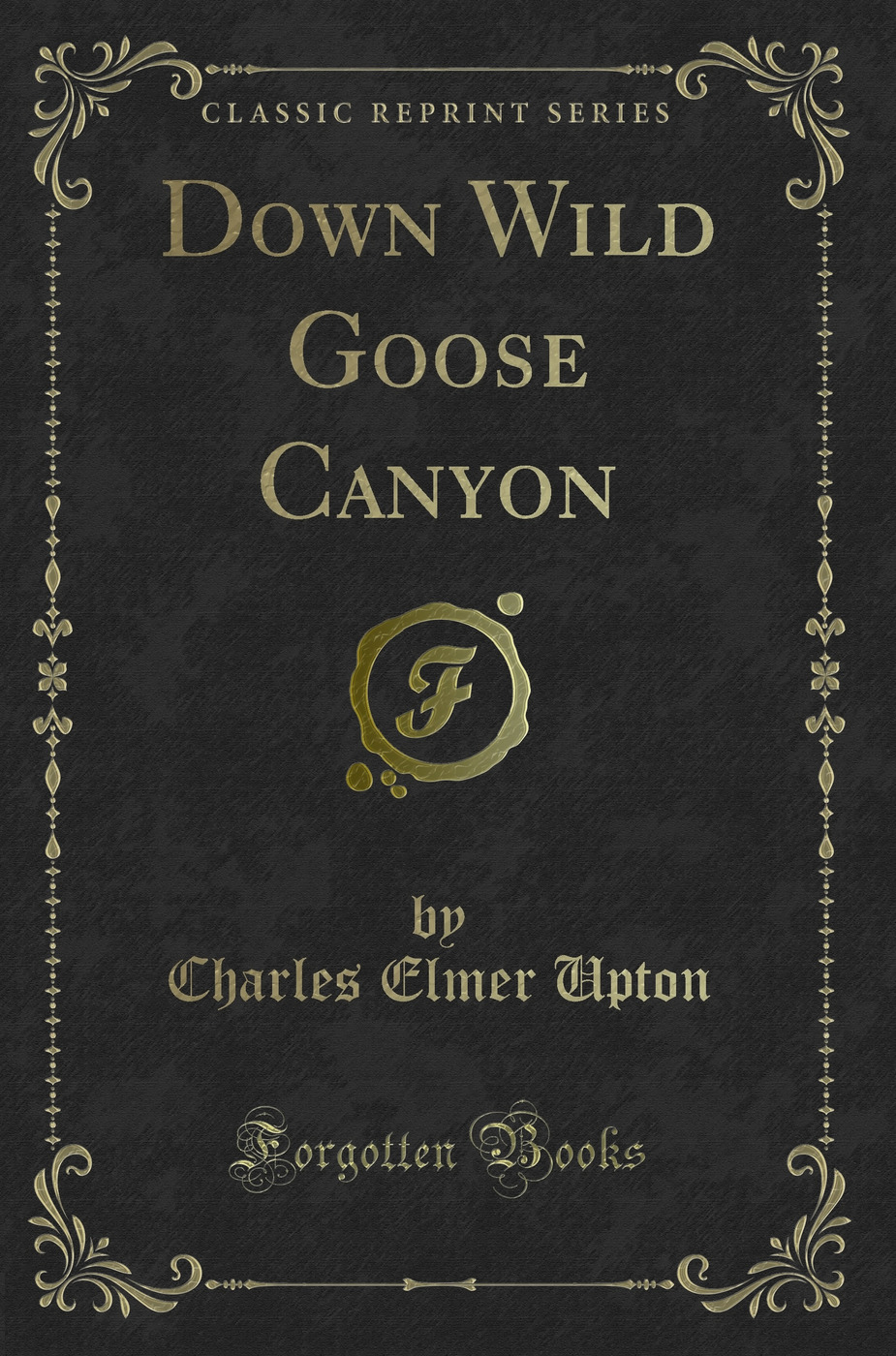 Down Wild Goose Canyon (Classic Reprint)