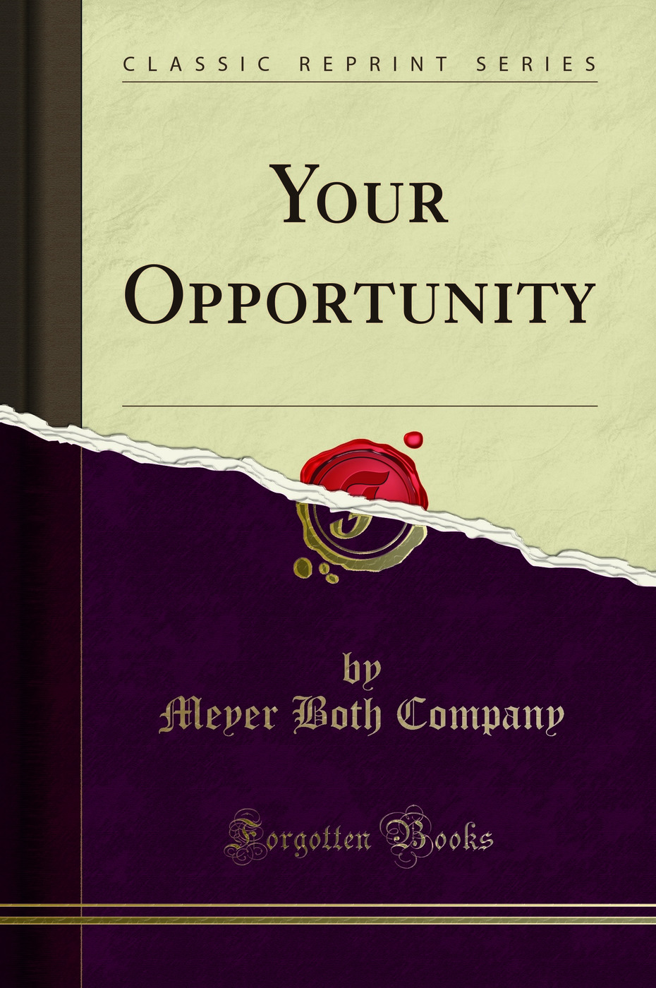 Your Opportunity (Classic Reprint)