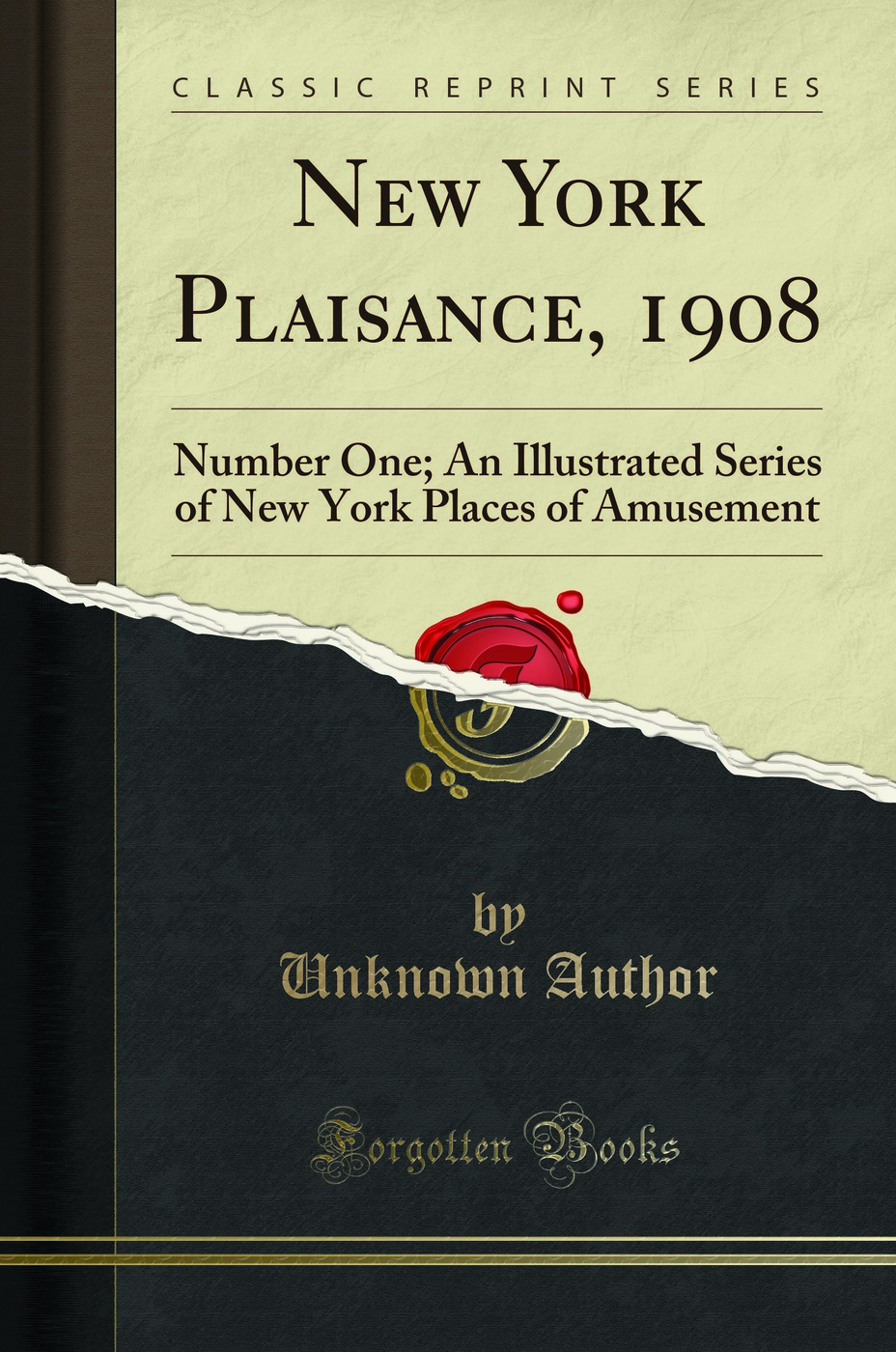 New York Plaisance, 1908: Number One; An Illustrated Series of New York Places of Amusement (Classic Reprint)