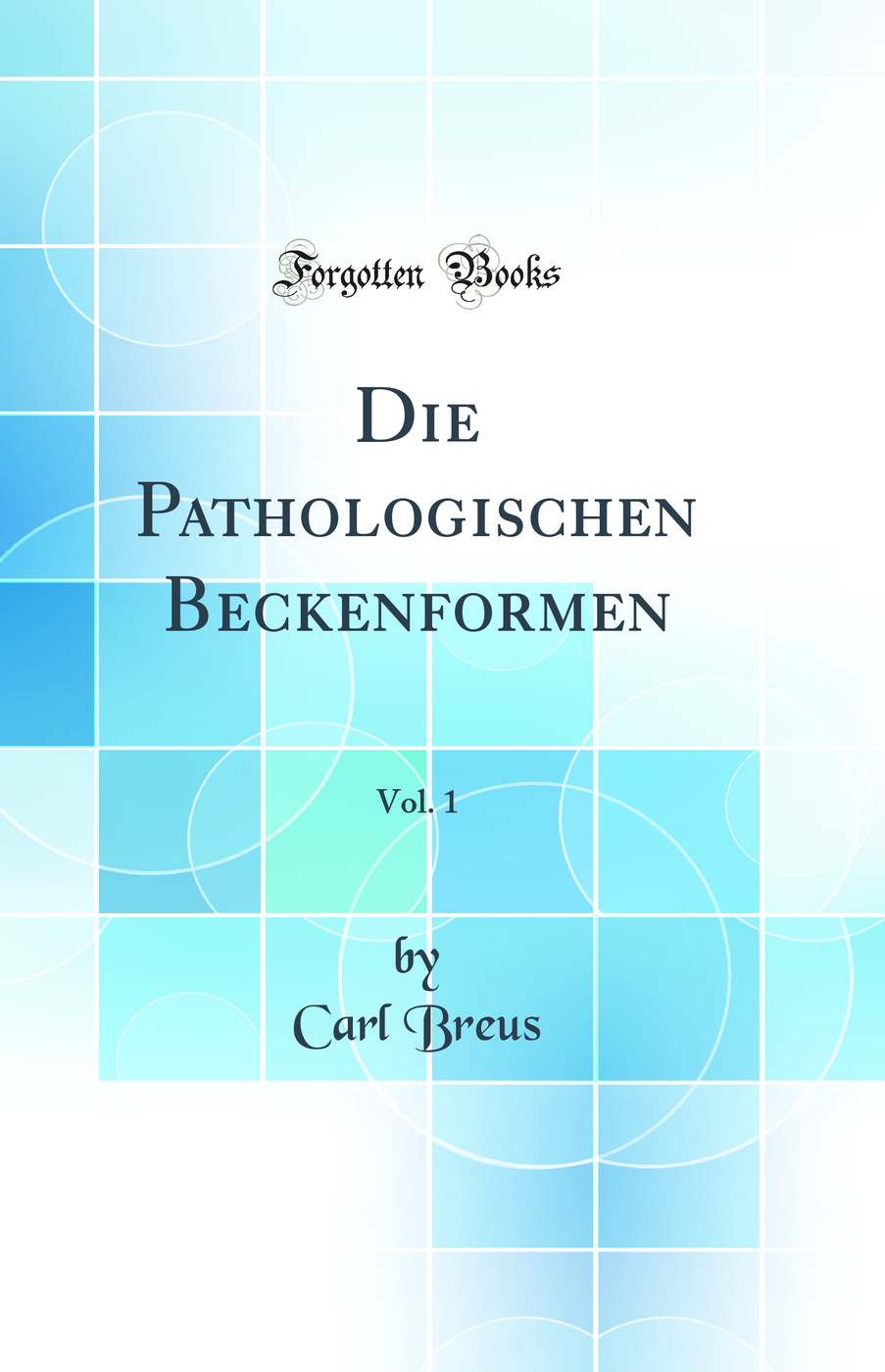 Die Pathologischen Beckenformen, Vol. 1 (Classic Reprint)