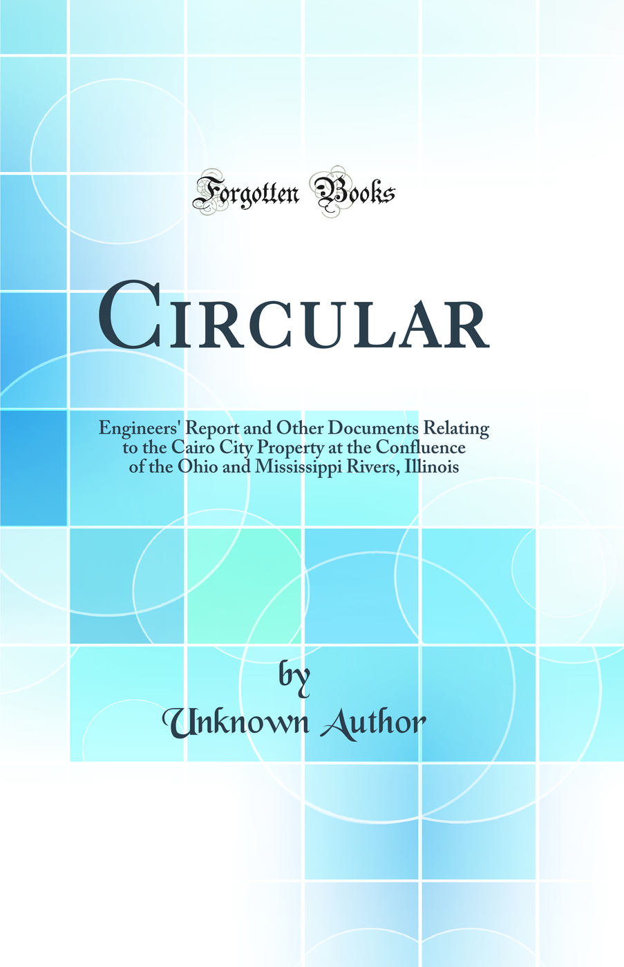 Circular: Engineers'' Report and Other Documents Relating to the Cairo City Property at the Confluence of the Ohio and Mississippi Rivers, Illinois (Classic Reprint)