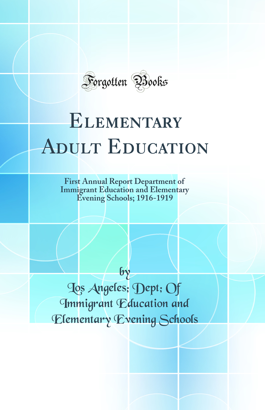Elementary Adult Education: First Annual Report Department of Immigrant Education and Elementary Evening Schools; 1916-1919 (Classic Reprint)