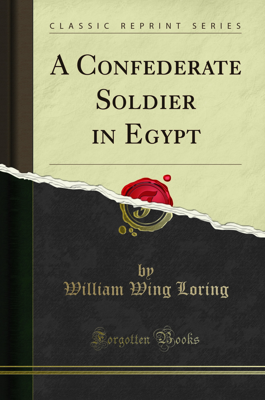 A Confederate Soldier in Egypt (Classic Reprint)