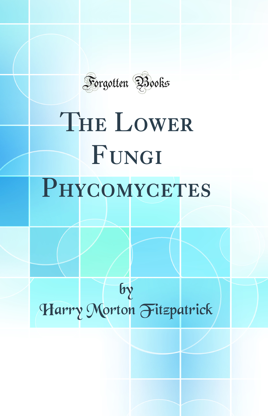 The Lower Fungi Phycomycetes (Classic Reprint)