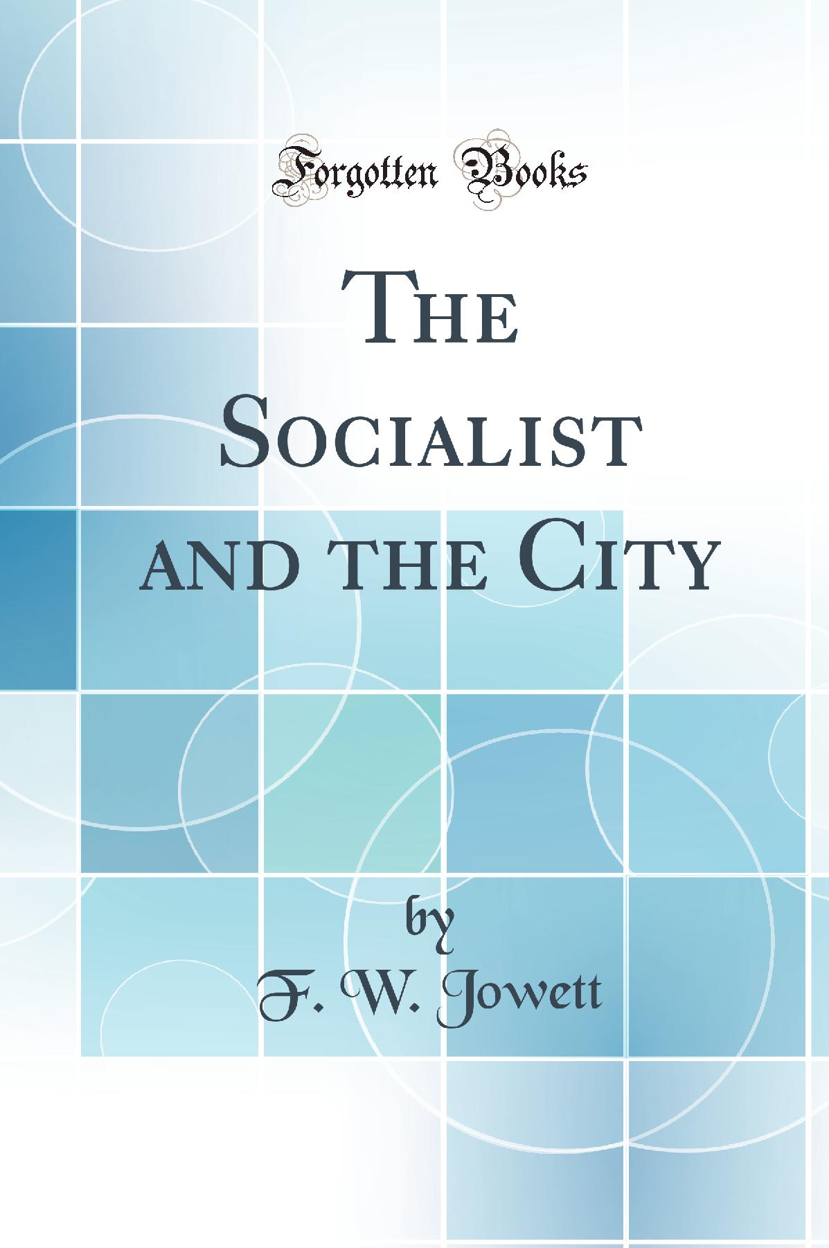 The Socialist and the City (Classic Reprint)