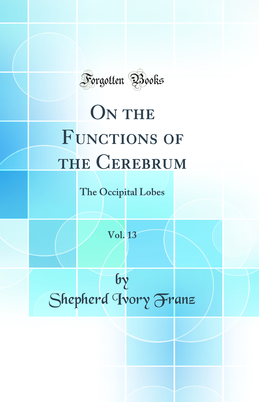 On the Functions of the Cerebrum, Vol. 13: The Occipital Lobes (Classic Reprint)