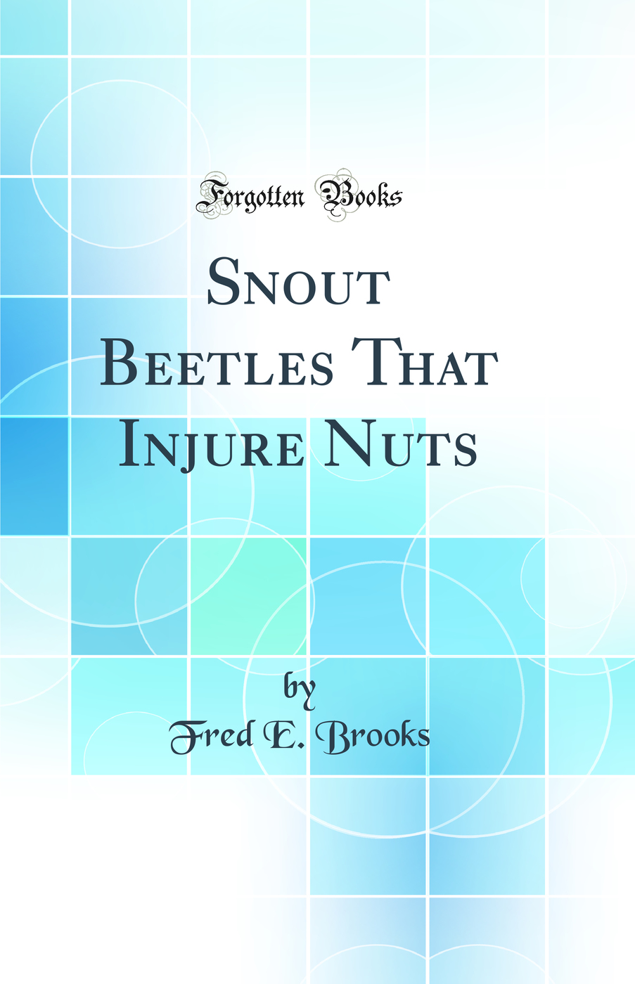 Snout Beetles That Injure Nuts (Classic Reprint)