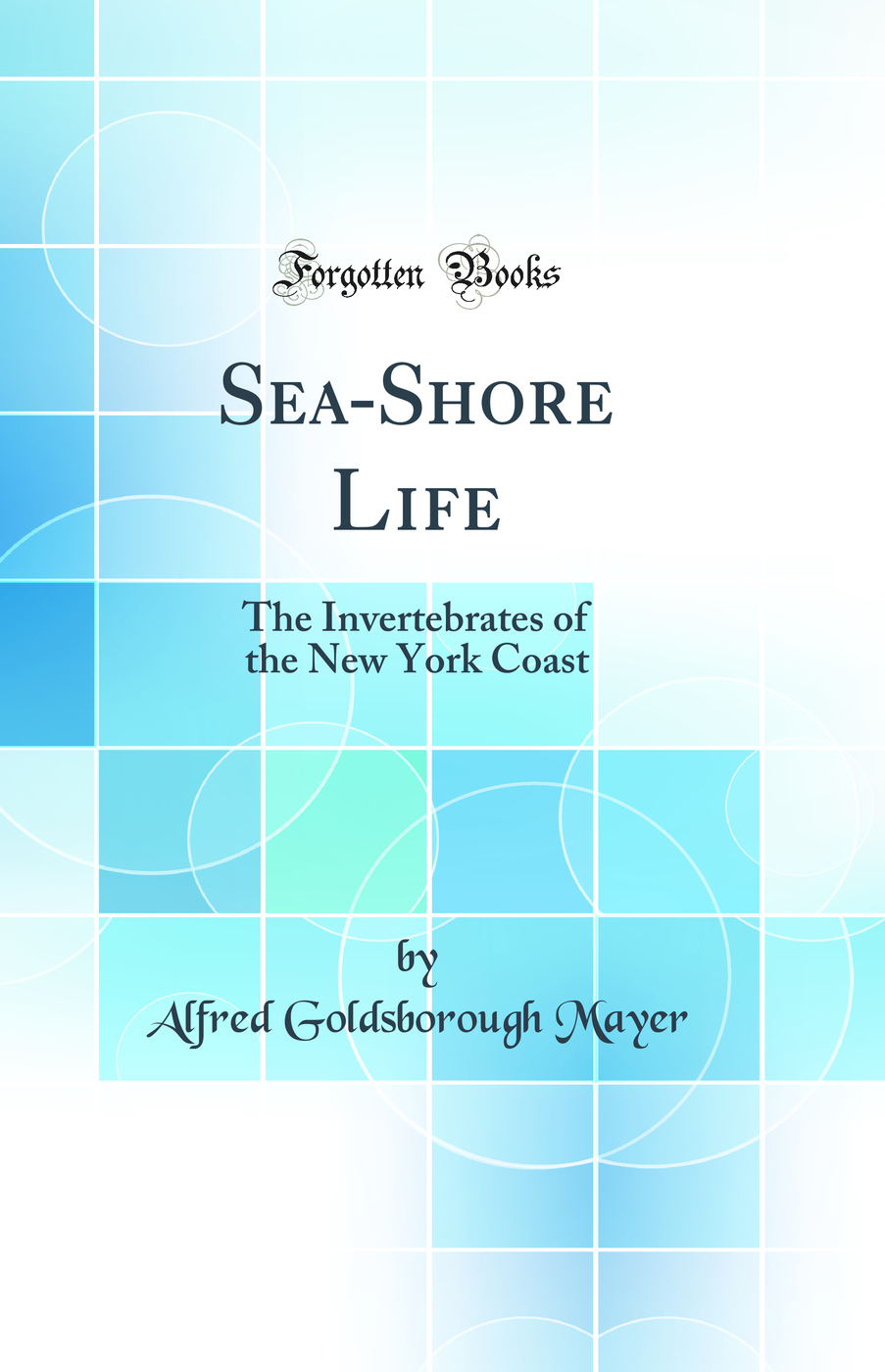 Sea-Shore Life: The Invertebrates of the New York Coast (Classic Reprint)