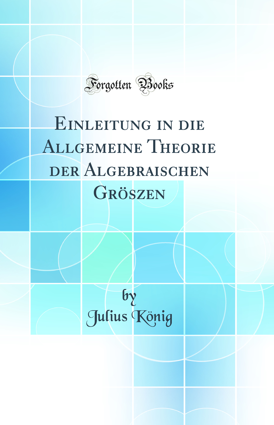 Einleitung in die Allgemeine Theorie der Algebraischen Gröszen (Classic Reprint)