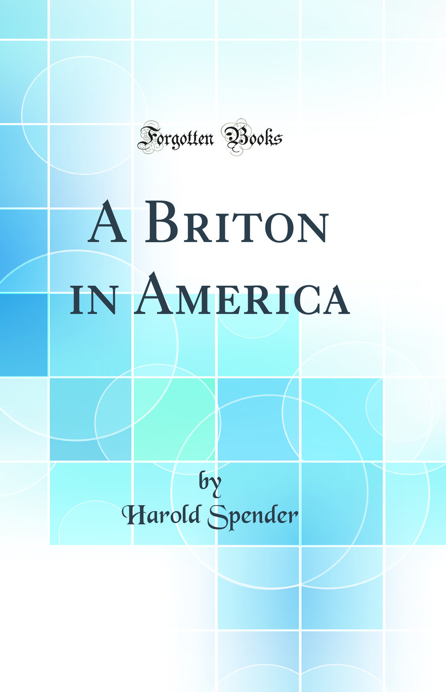 A Briton in America (Classic Reprint)