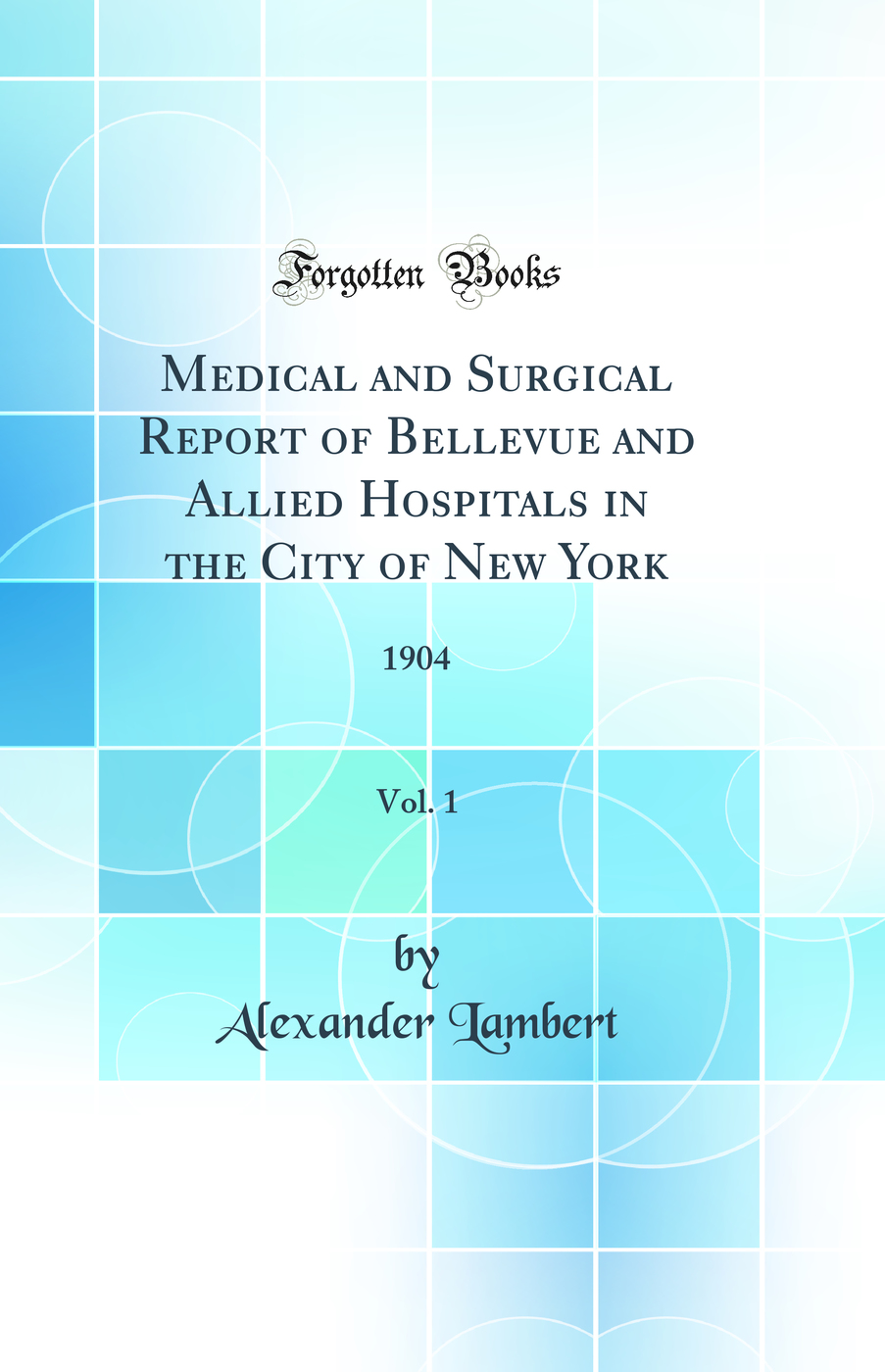 Medical and Surgical Report of Bellevue and Allied Hospitals in the City of New York, Vol. 1: 1904 (Classic Reprint)