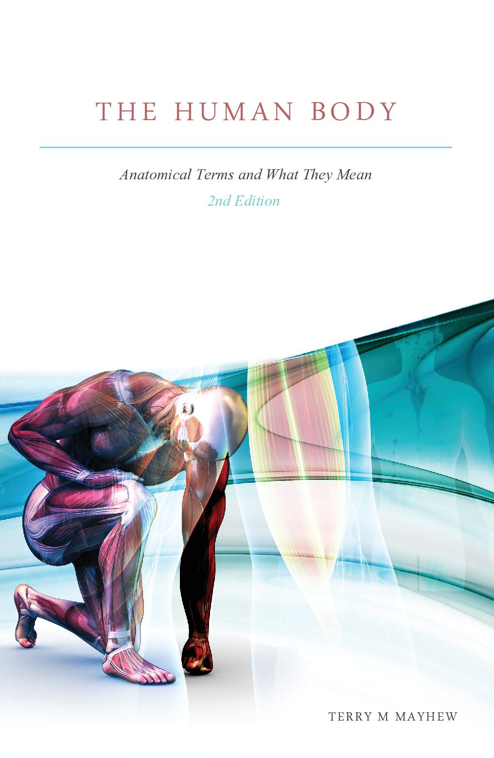 The Human Body 2nd Edition