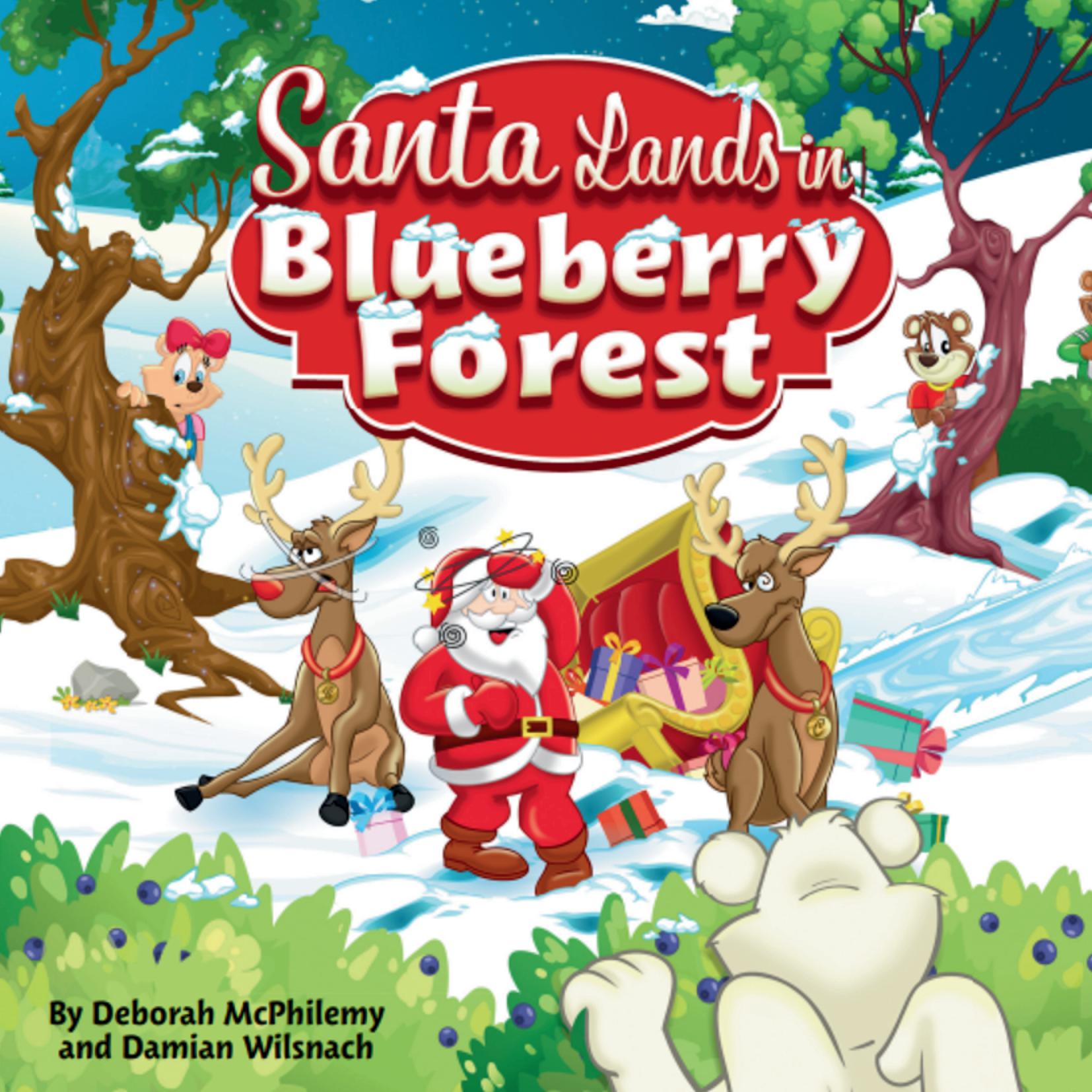 Santa Lands in Blueberry Forest