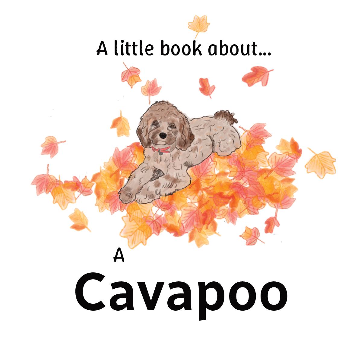 A little book about a Cavapoo