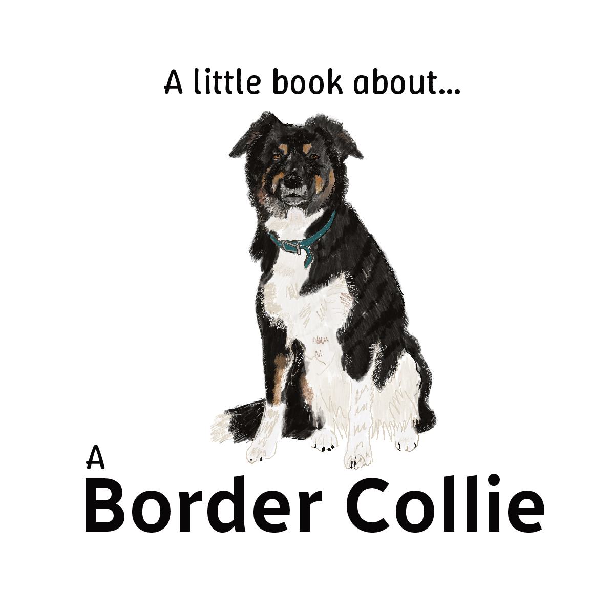 A little book about a Border Collie