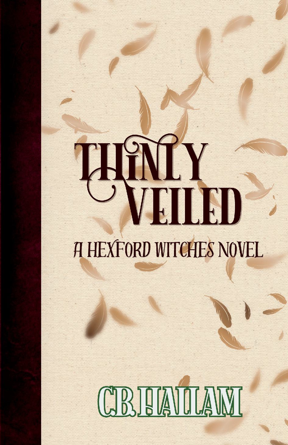 Thinly Veiled: A Hexford Witches novel