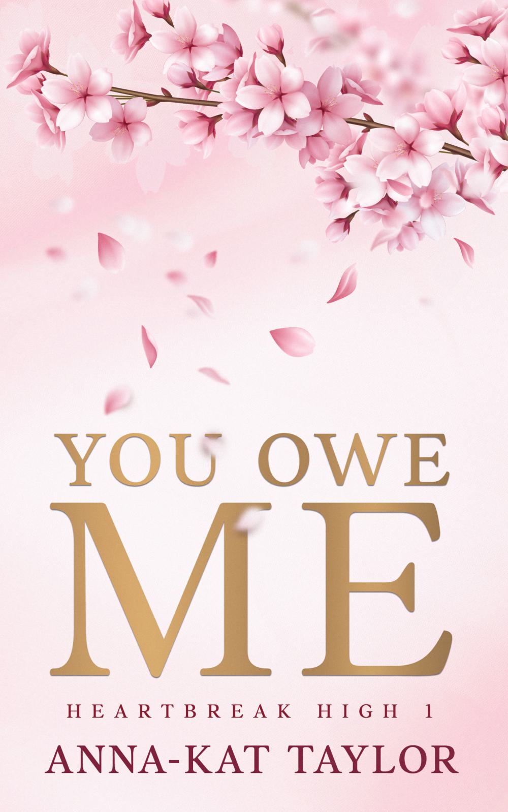 You Owe Me