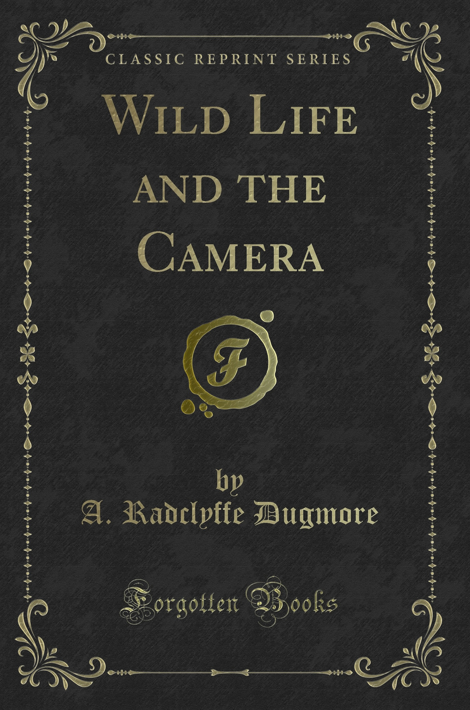 Wild Life and the Camera (Classic Reprint)