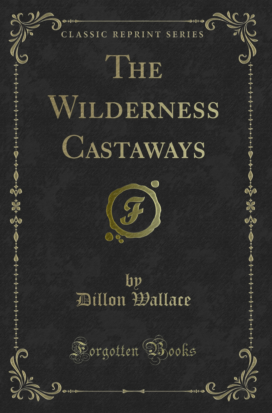 The Wilderness Castaways (Classic Reprint)