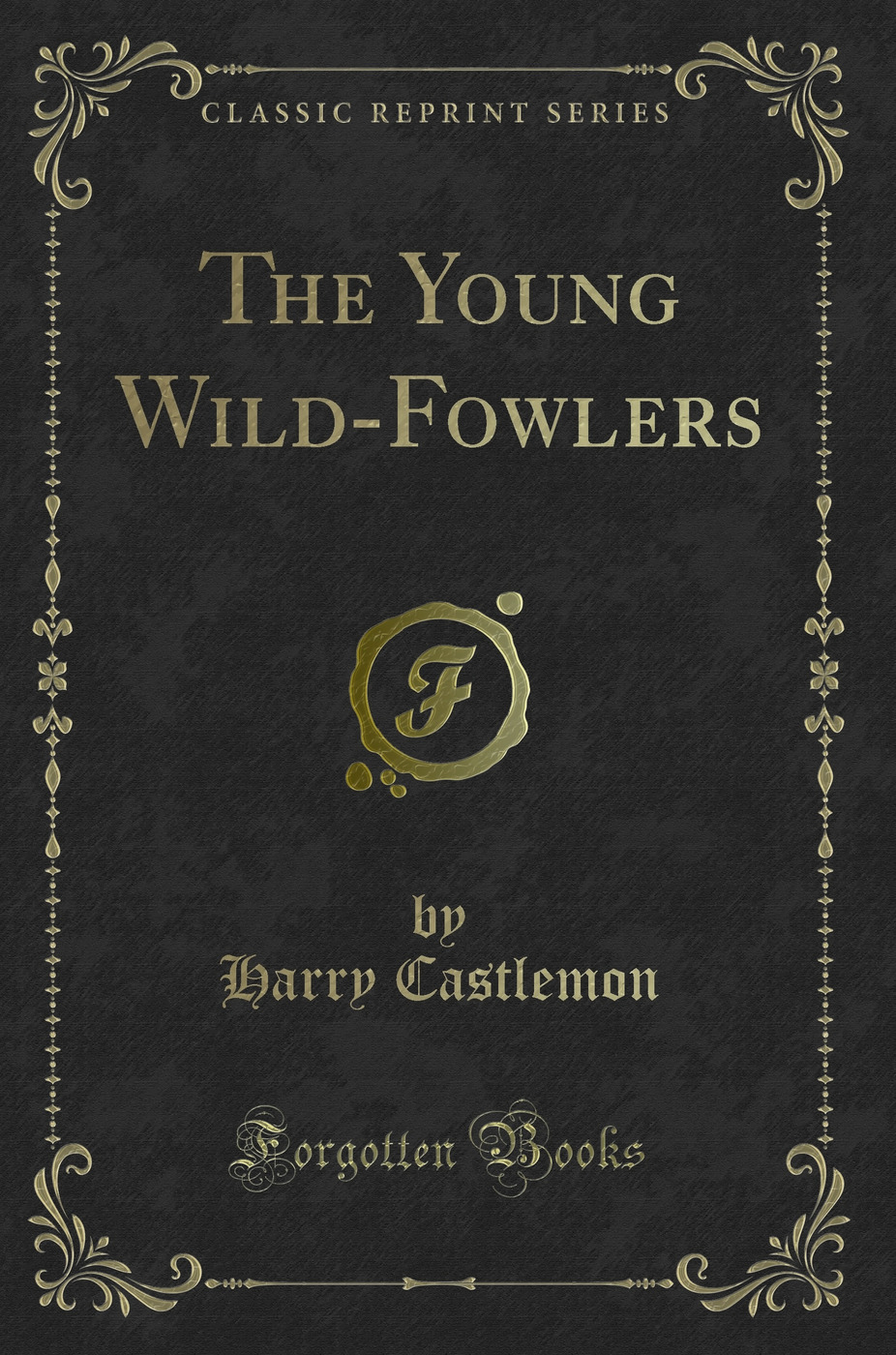The Young Wild-Fowlers (Classic Reprint)