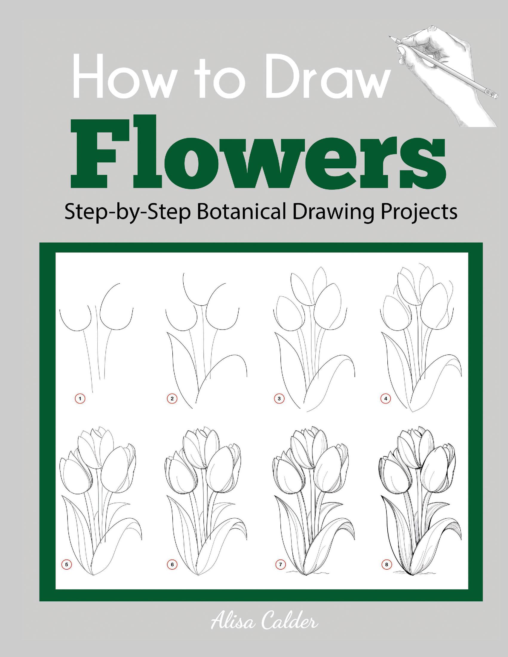 How to Draw Flowers: Step-by-Step Botanical Drawing Projects
