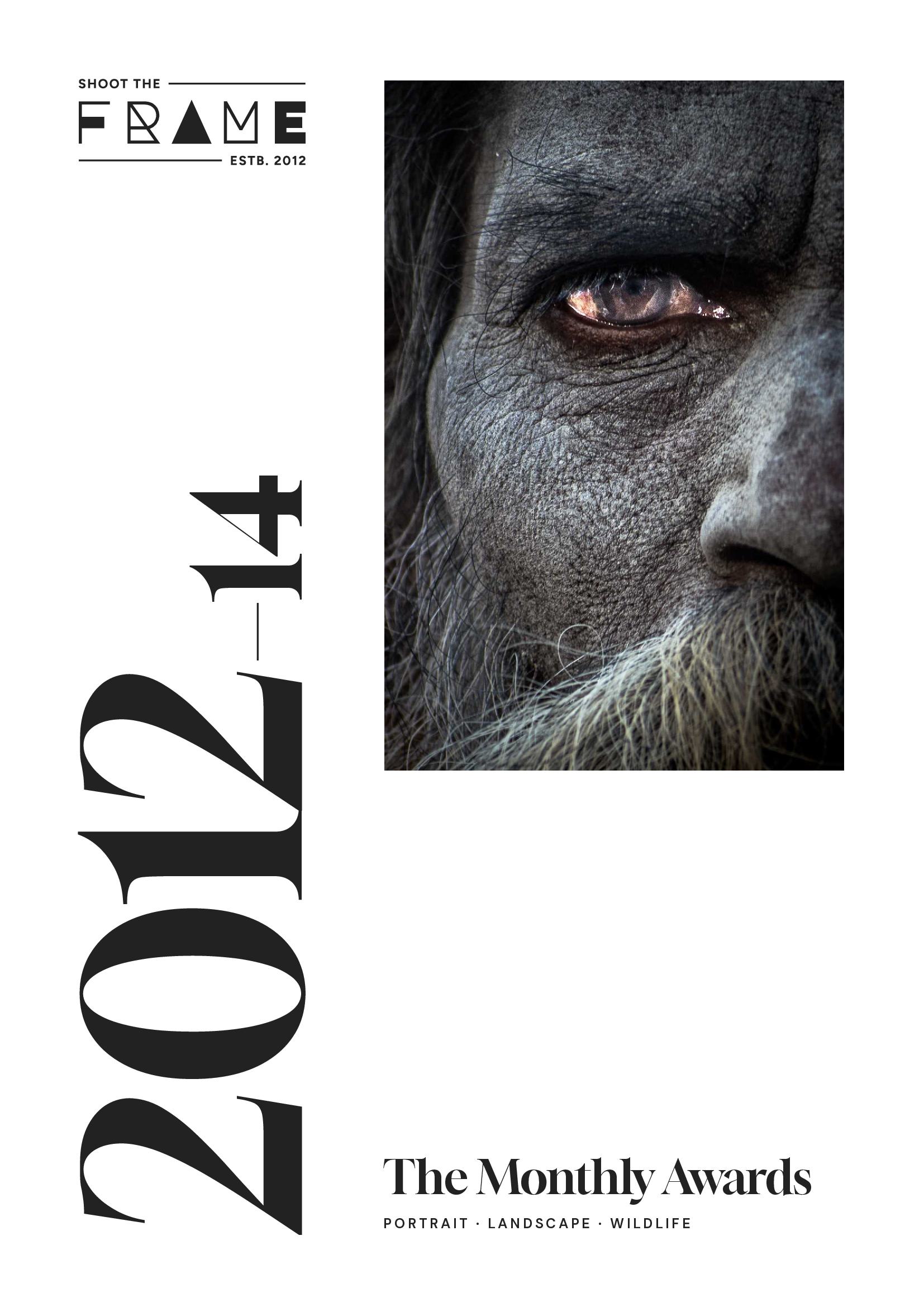Shoot The Frame: The 2012-2014 Monthly Awards
