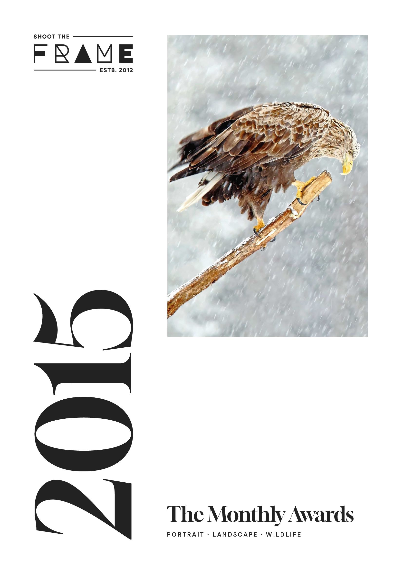 Shoot The Frame: The 2015 Monthly Awards