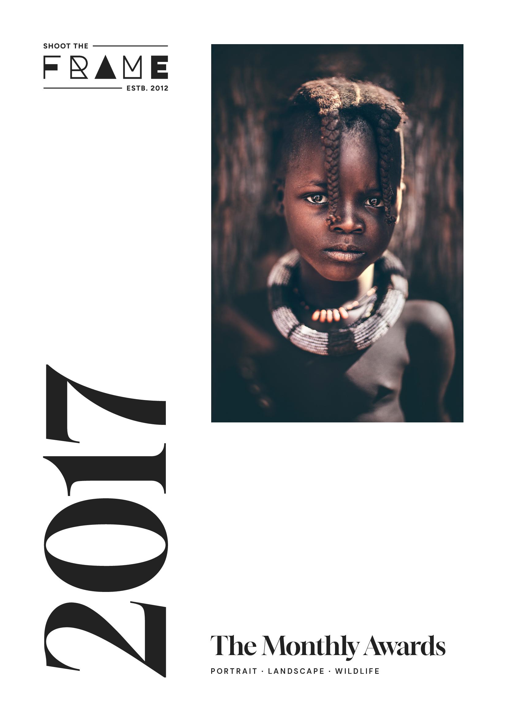 Shoot The Frame: The 2017 Monthly Awards