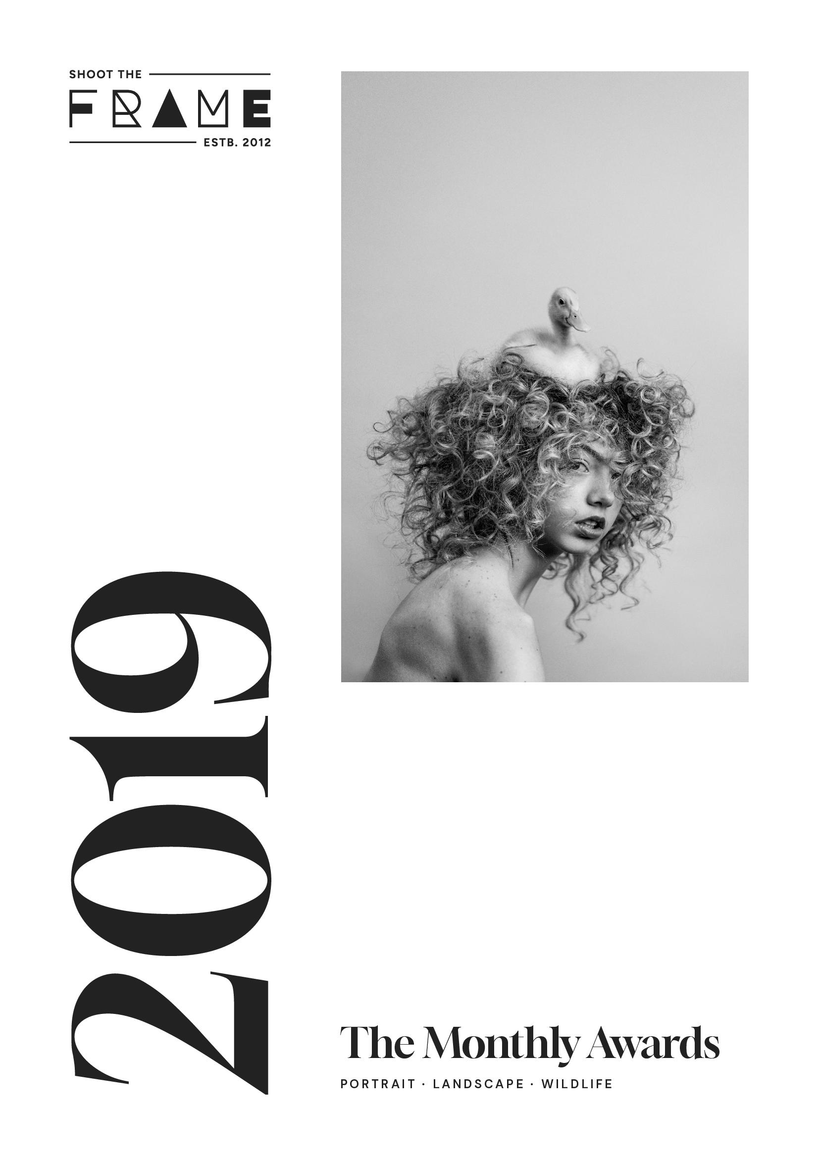 Shoot The Frame: The 2019 Monthly Awards