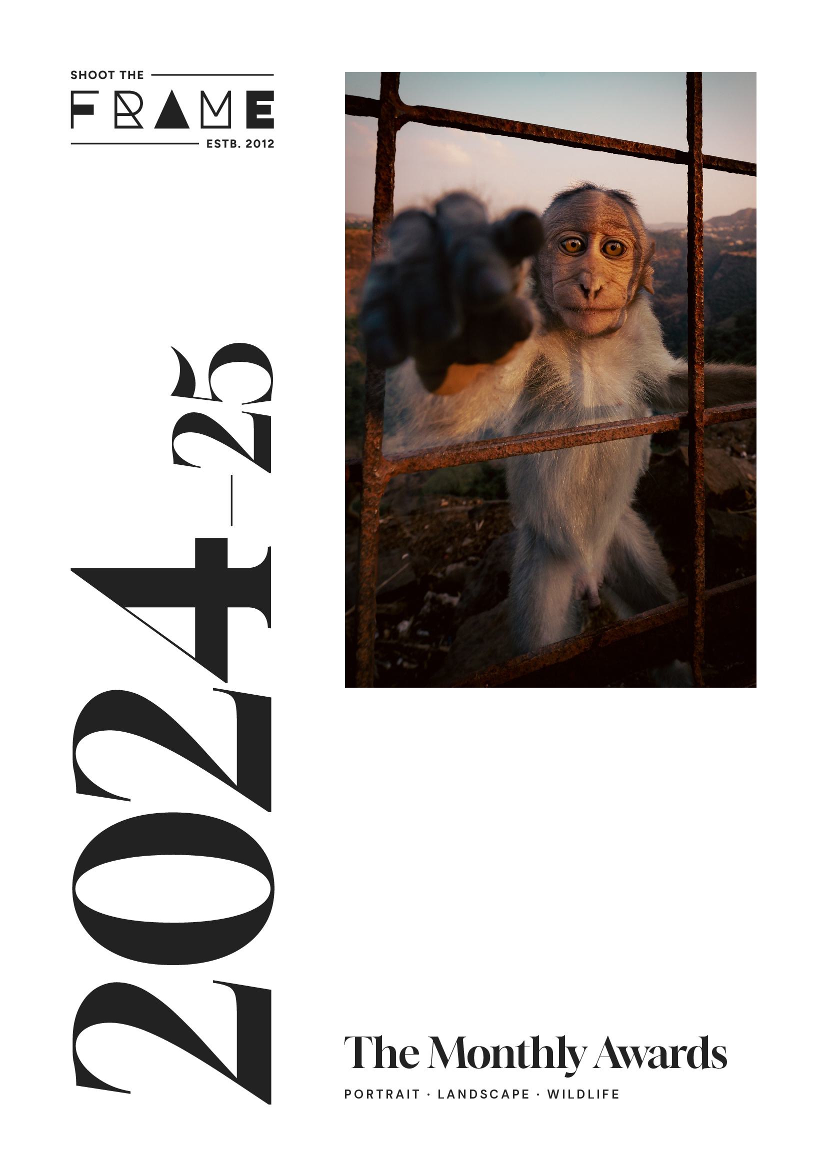 Shoot The Frame: The 2024-2025 Monthly Awards