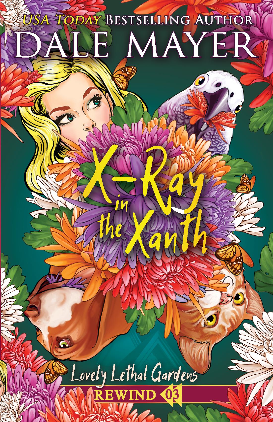 X-Ray in the Xanth