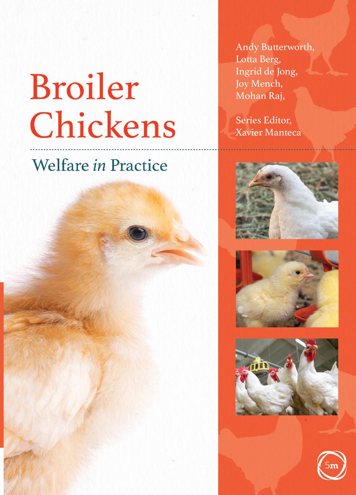Broiler Chickens Welfare in Practice