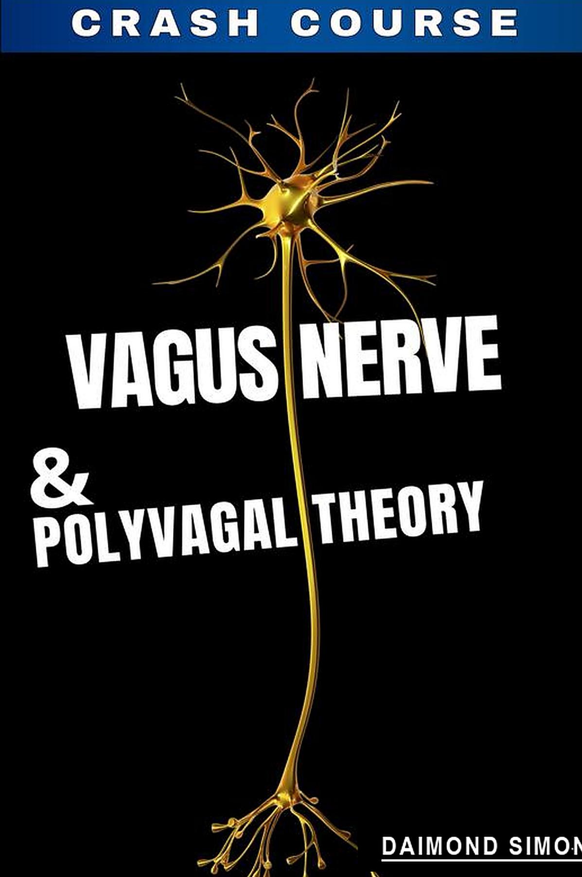 Vagus Nerve And The Polyvagal Theory