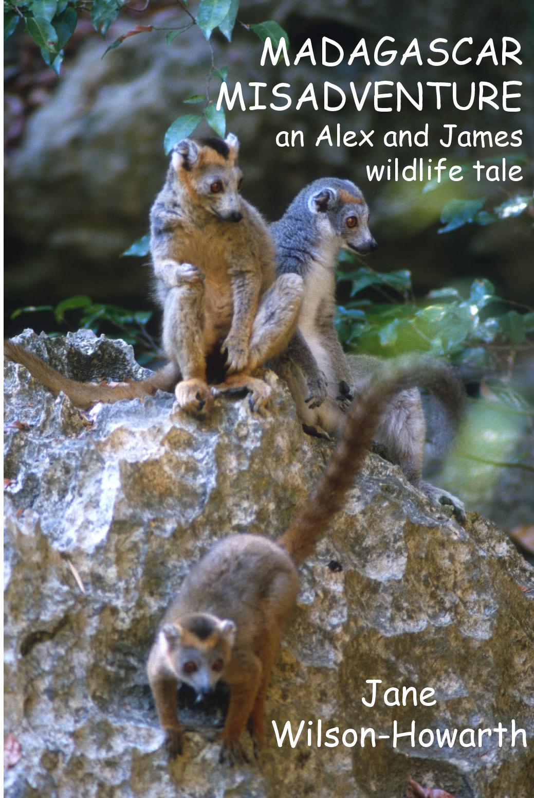 Madagascar Misadventure