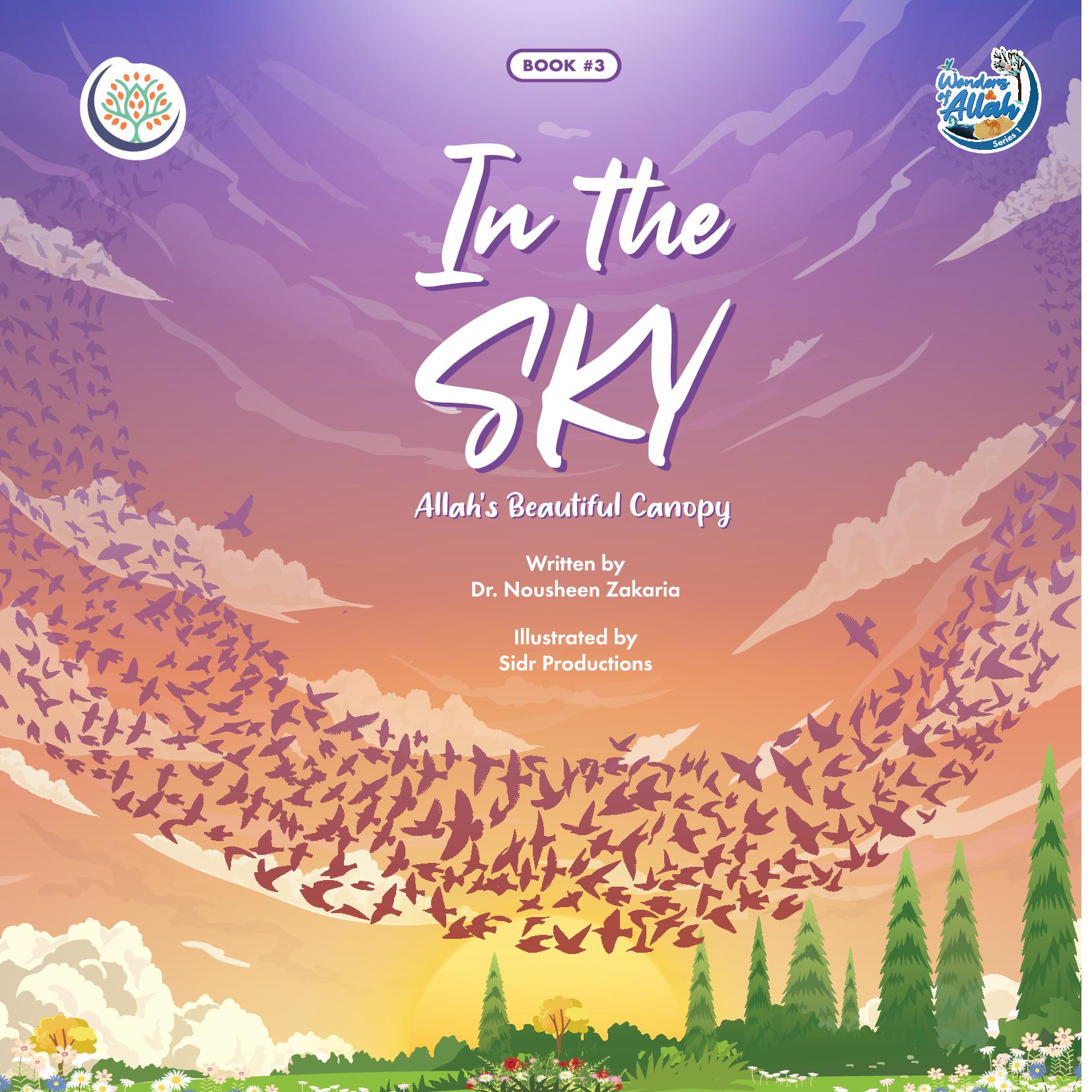 In the Sky