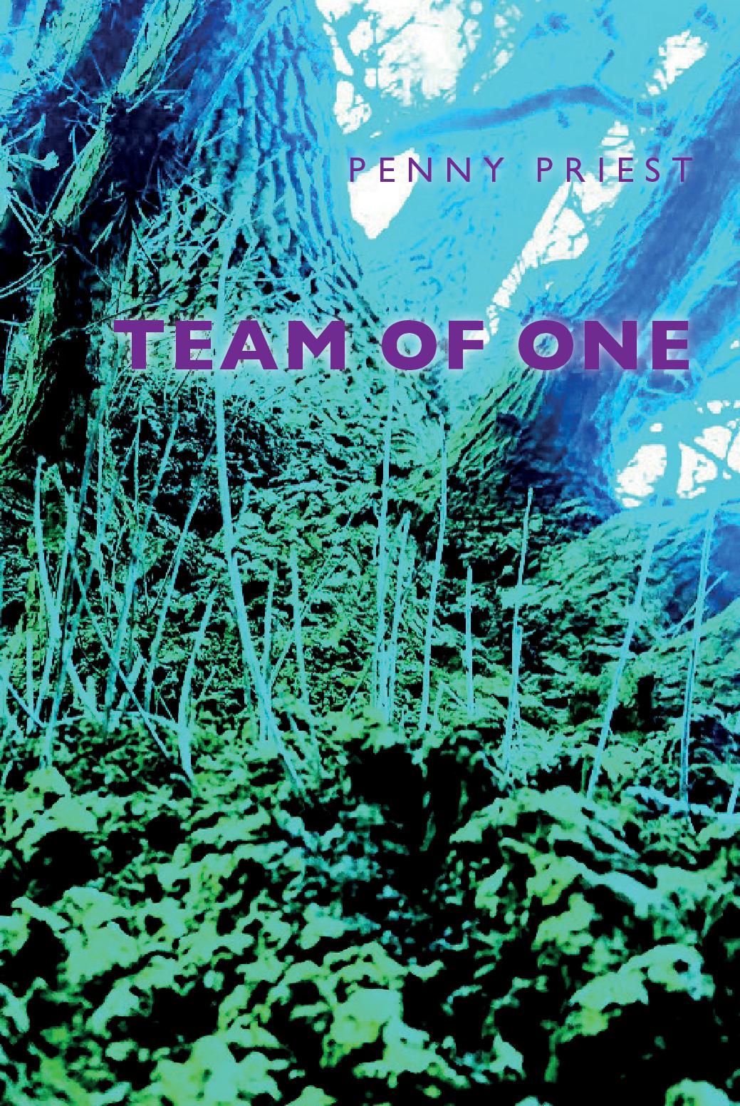 Team of One