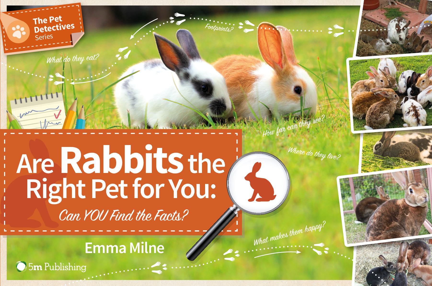 Are Rabbits the Right Pet for You - Can You Find the Facts?