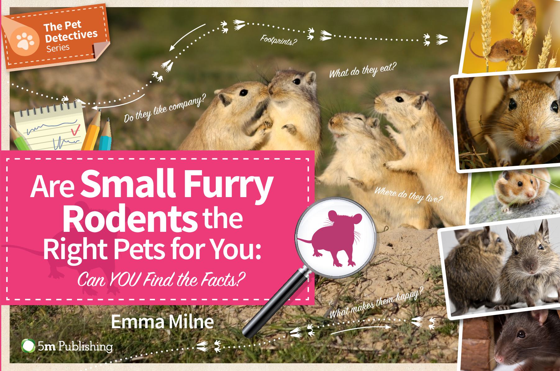 Are Small Furry Rodents the Right Pets for You - Can You Find the Facts?