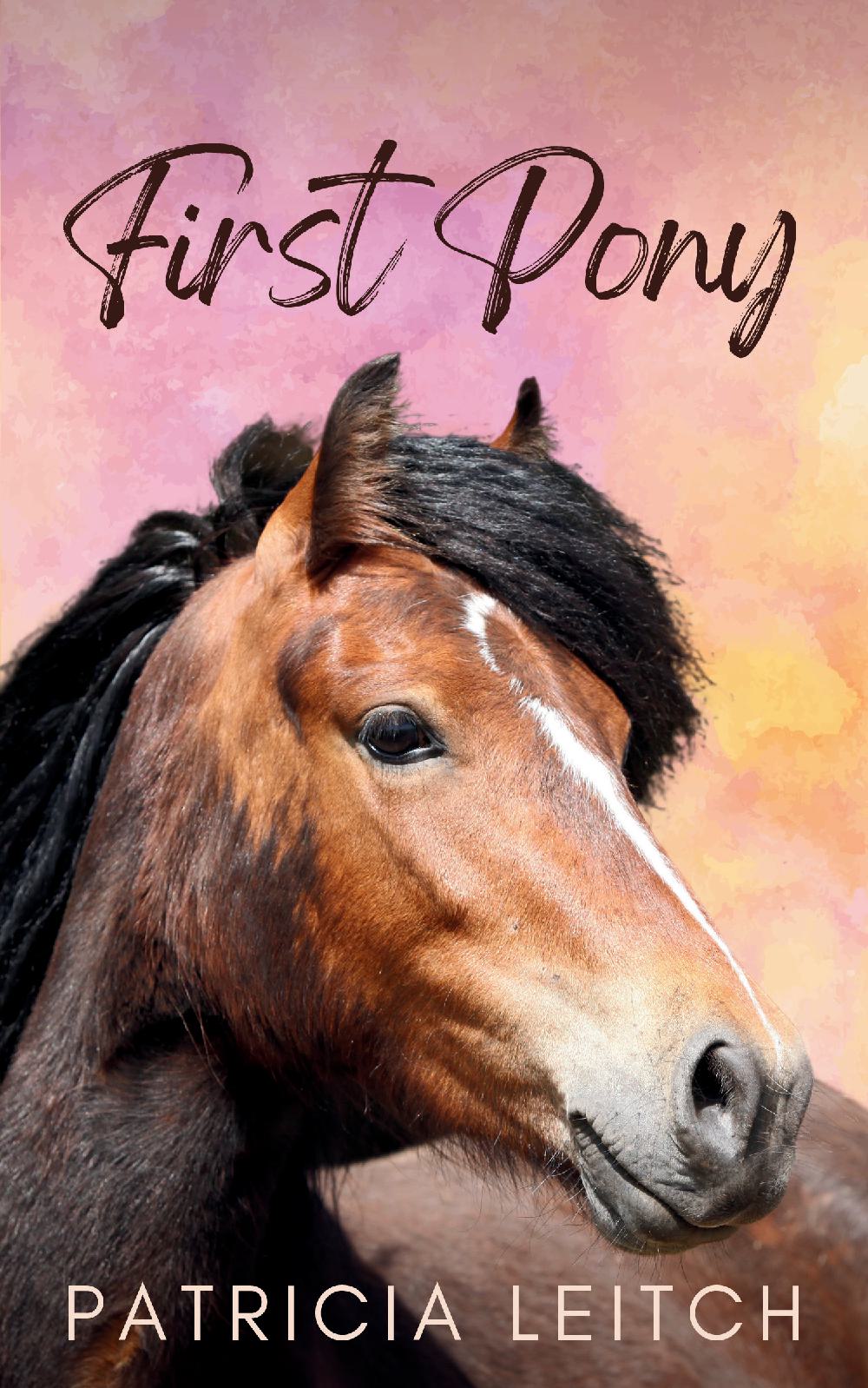 First Pony