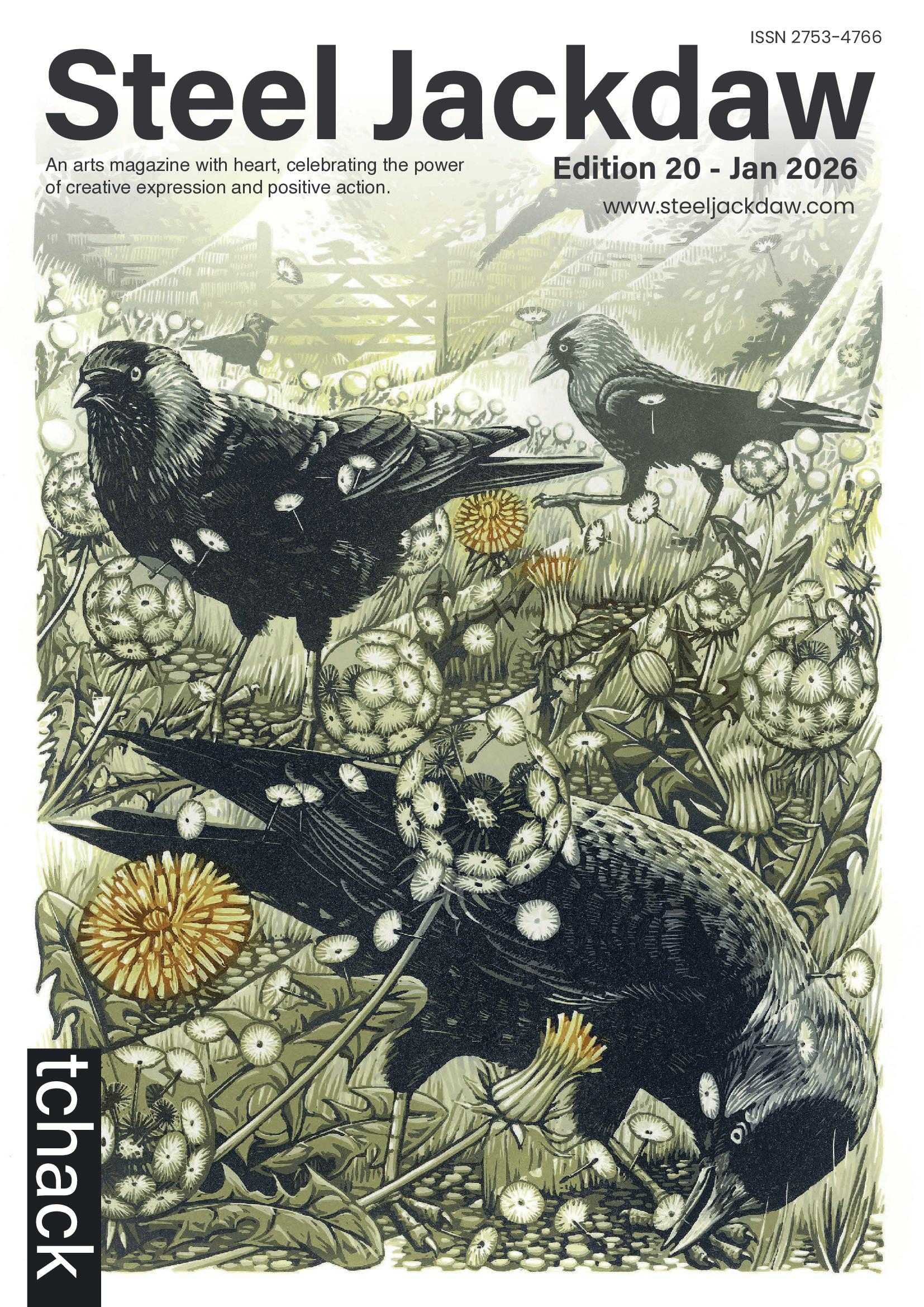 Steel Jackdaw Edition 20