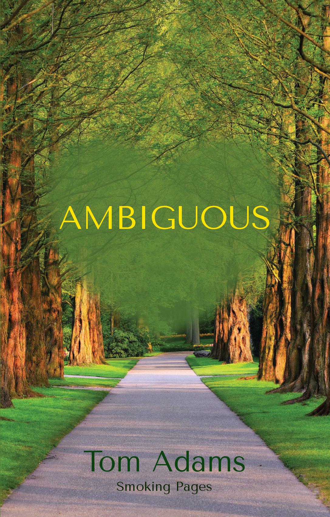 Ambiguous