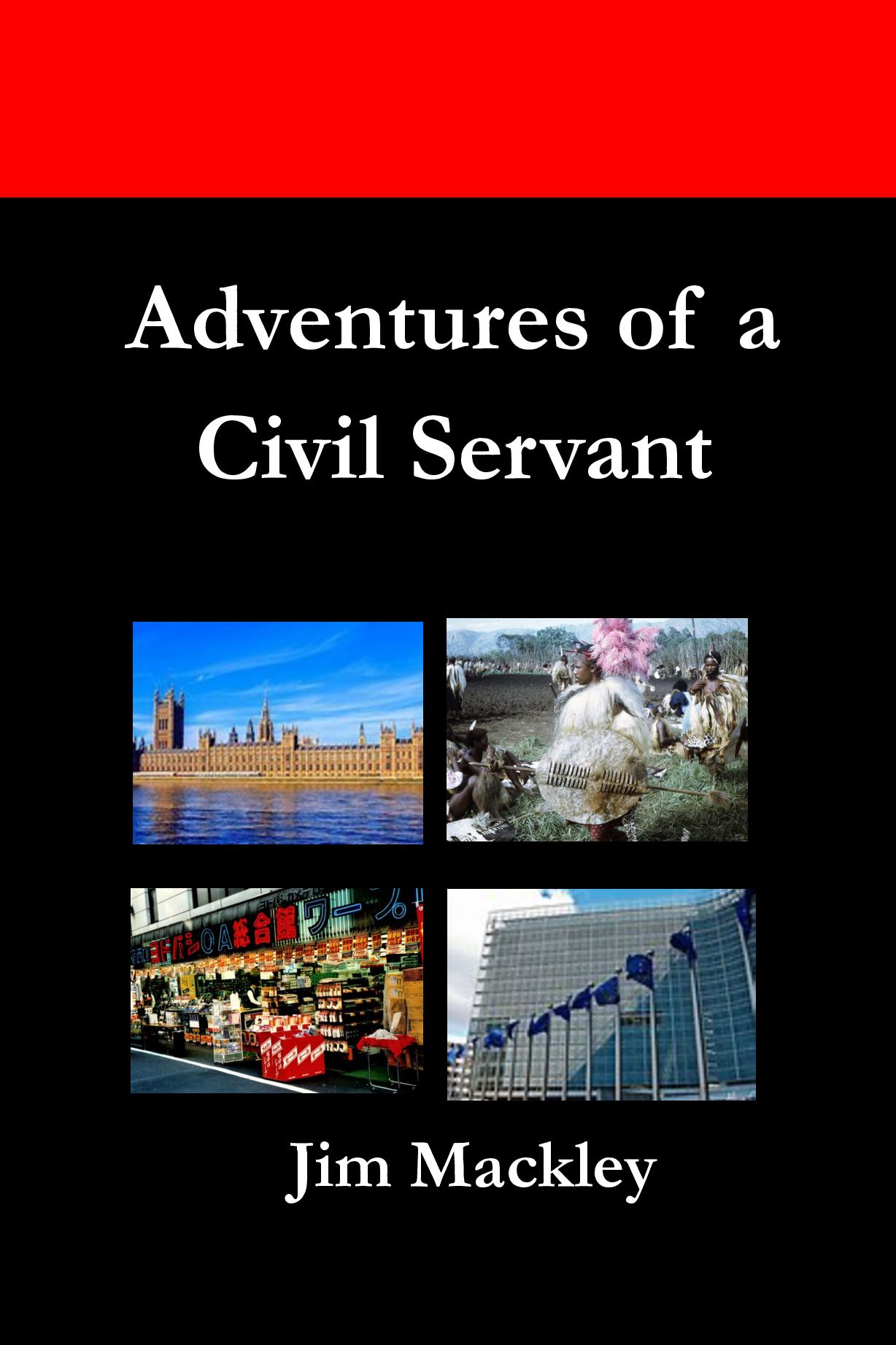 Adventures of a Civil Servant