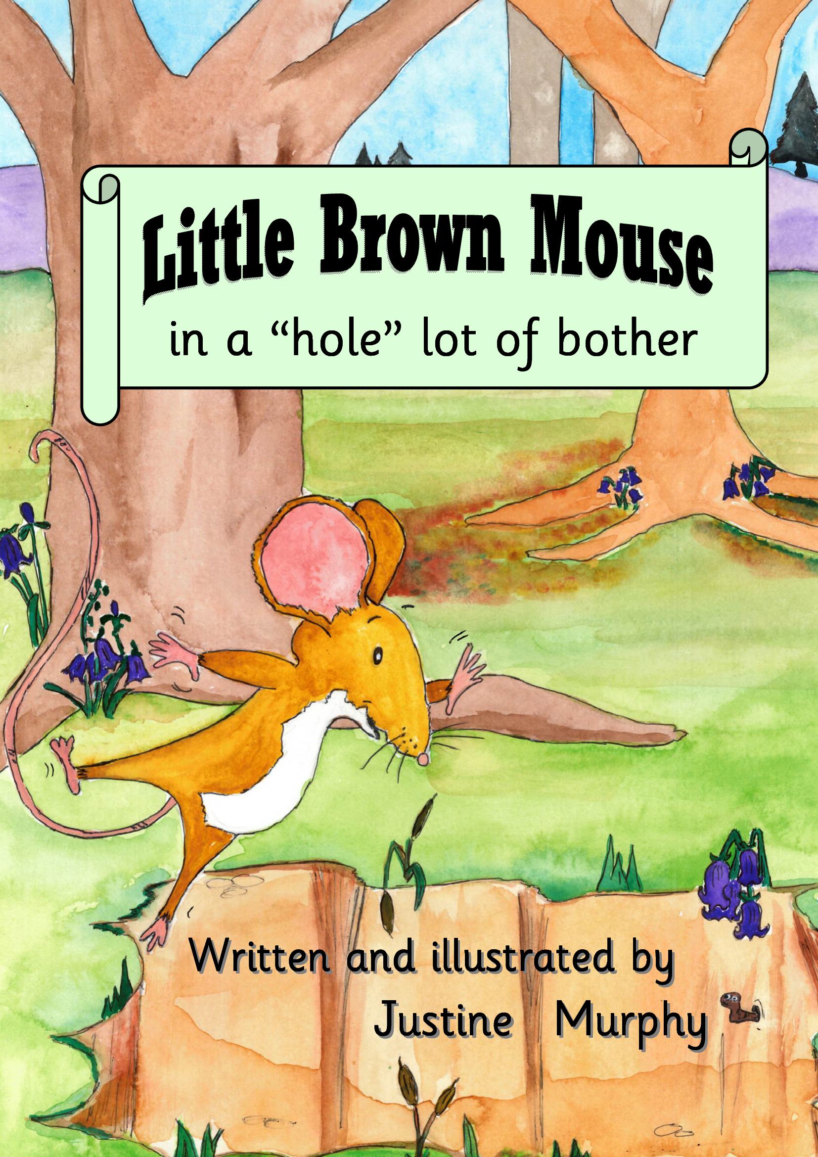 Little Brown Mouse in a 