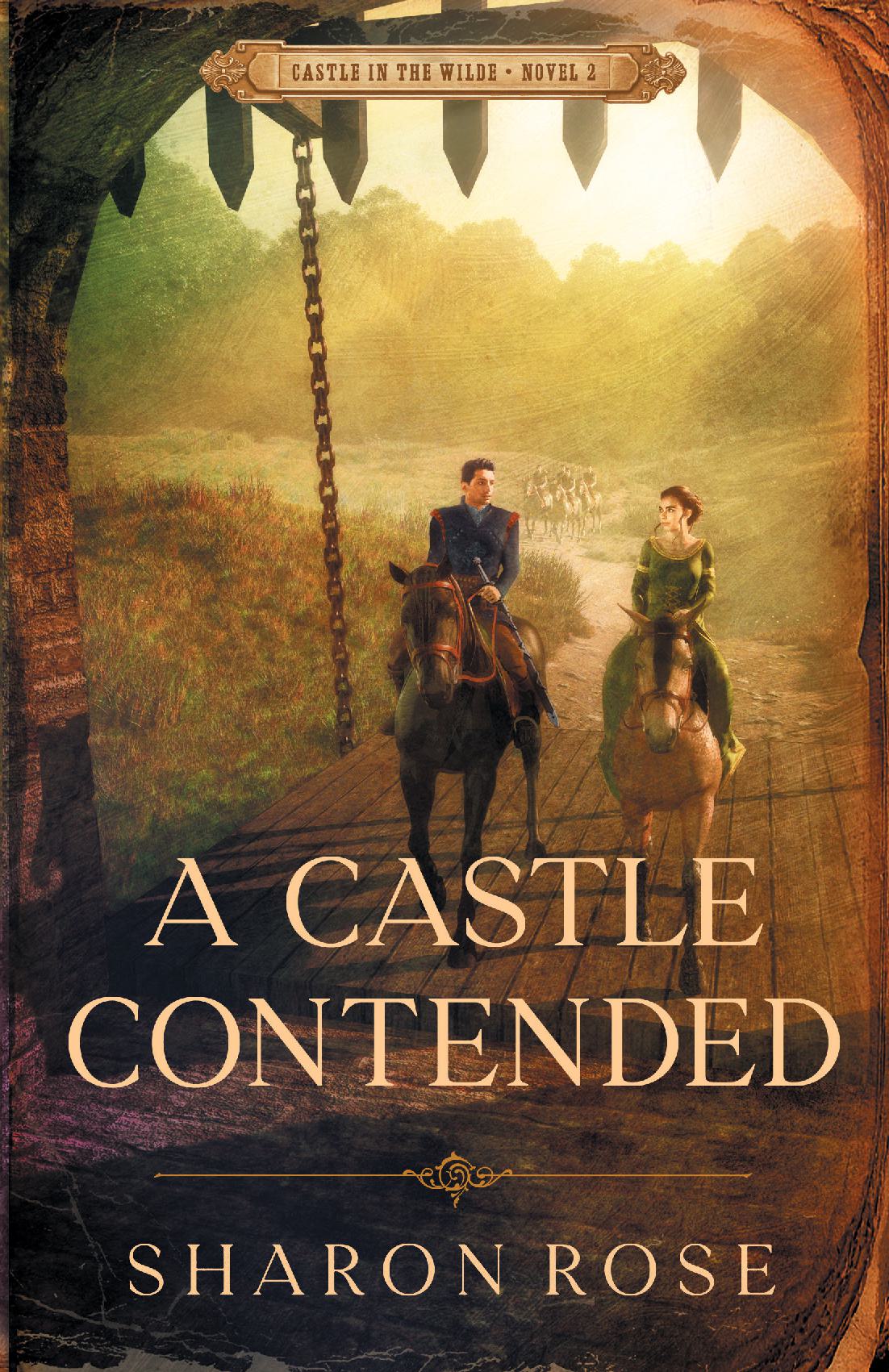 A Castle Contended