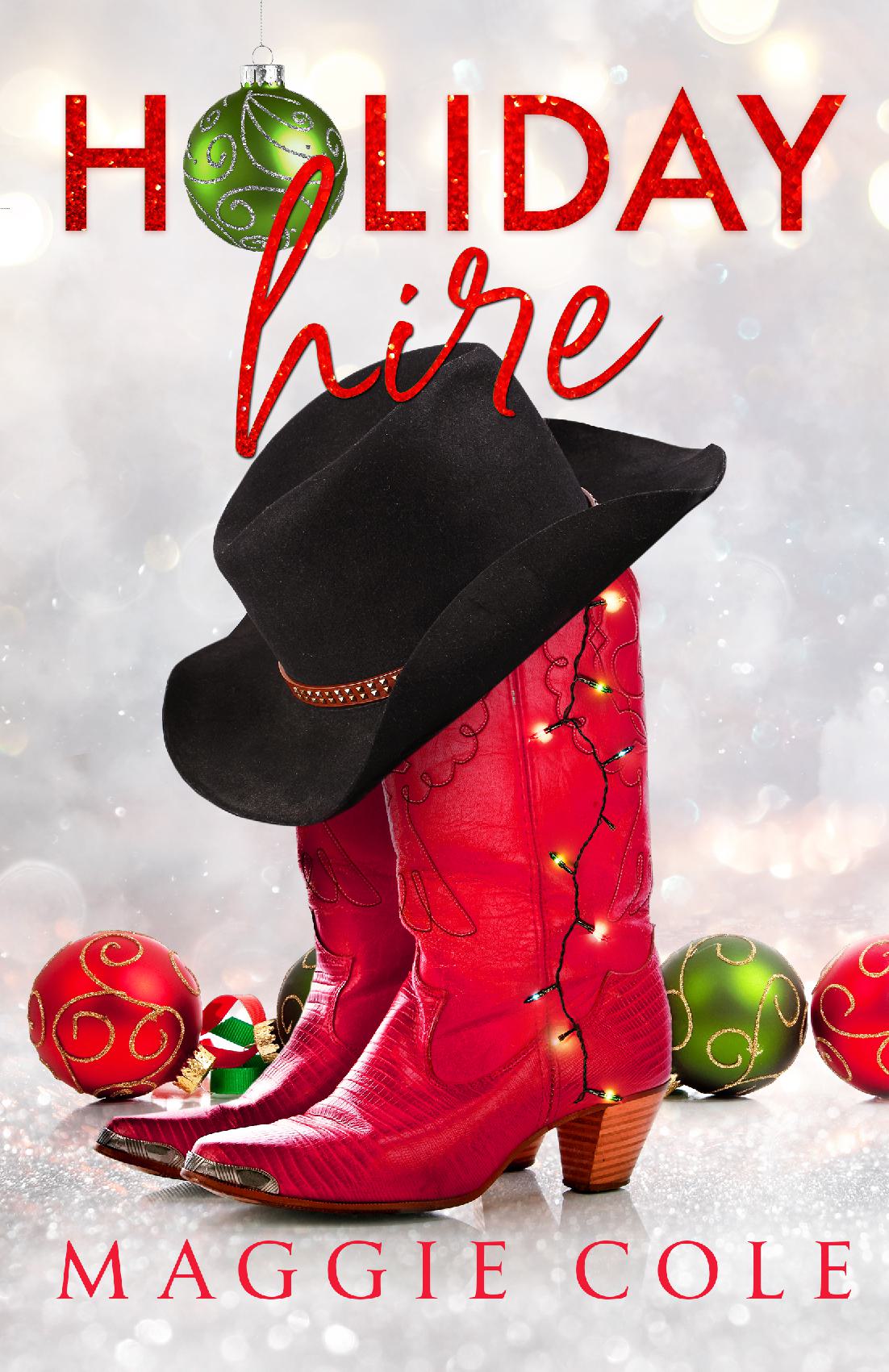 Holiday Hire-Special Edition Discreet Cover